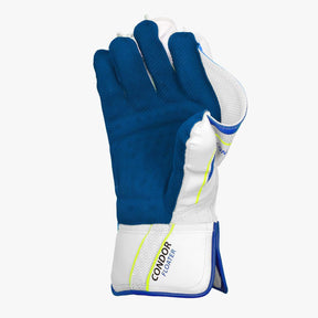 DSC Condor Floater Wicket Keeping Gloves