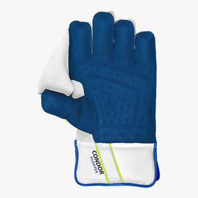 DSC Condor Floater Wicket Keeping Gloves